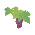 ampelos-pylaia-logo
